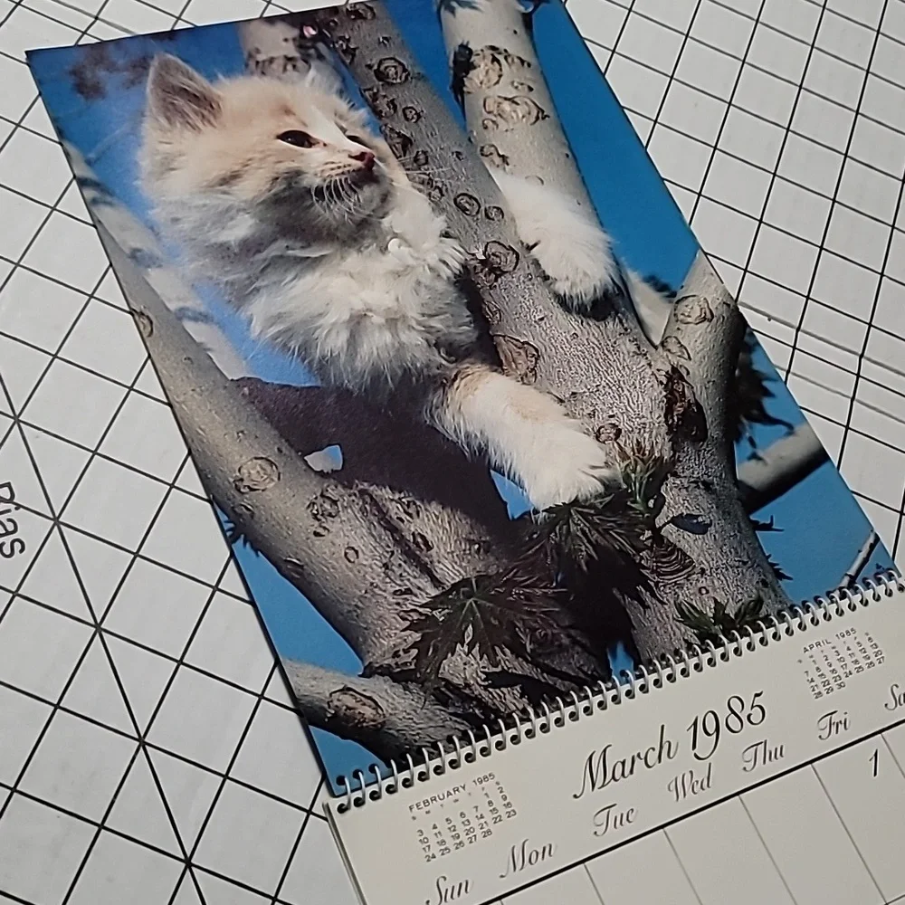 1985 Kittens Calendar by Betty Powell‎ - Vintage